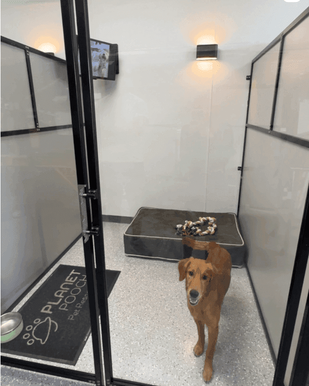 Planet Pooch boarding accommodations