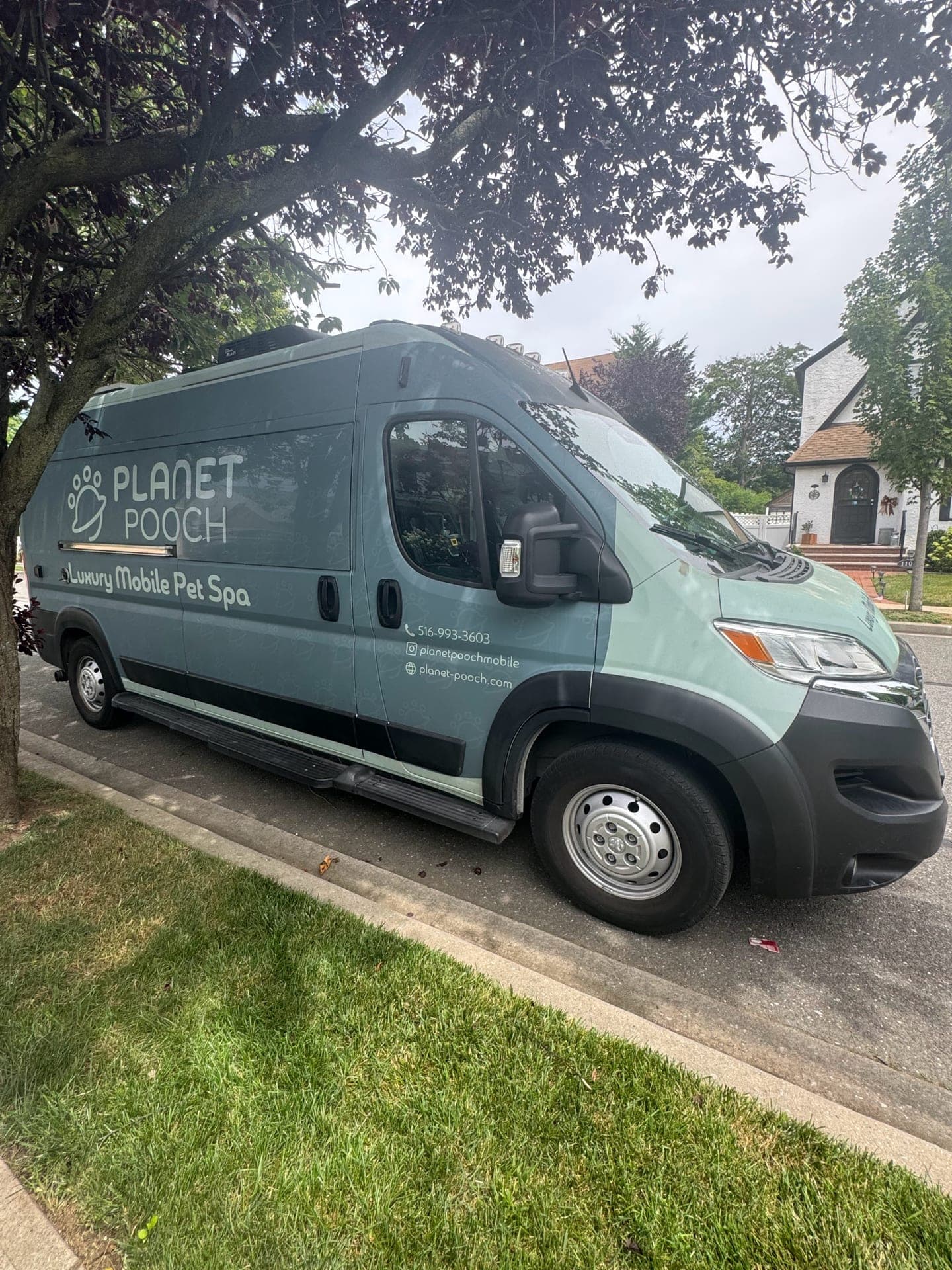 Mobile Grooming