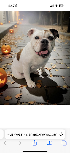 Photo from customer review