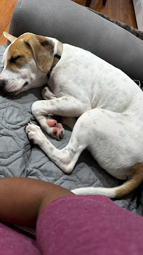 Photo from customer review