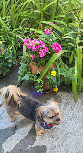 Photo from customer review